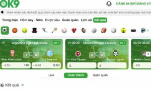 Nhiều cao thủ cược cá giới thiệu ok9 cho tân thủ