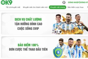 Khuyến mãi ok9 đa dạng với giá trị cao dành cho cược thủ