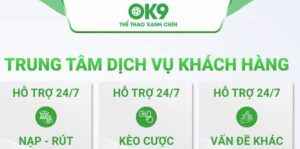 Liên hệ Hotline ok9 nhanh chóng