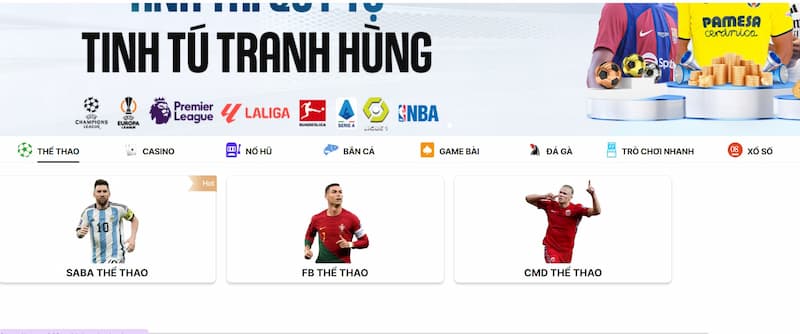 Cá cược thể thao ok9