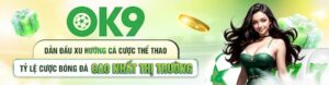 Hack tạo đường link giả mạo ok9